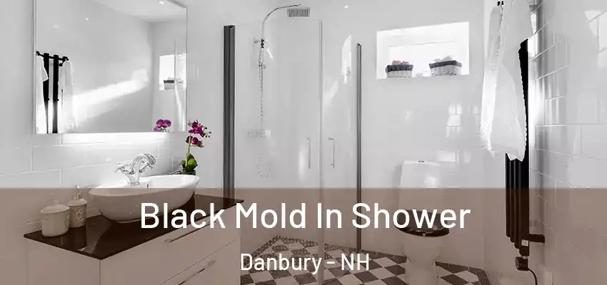 Black Mold In Shower Danbury - NH
