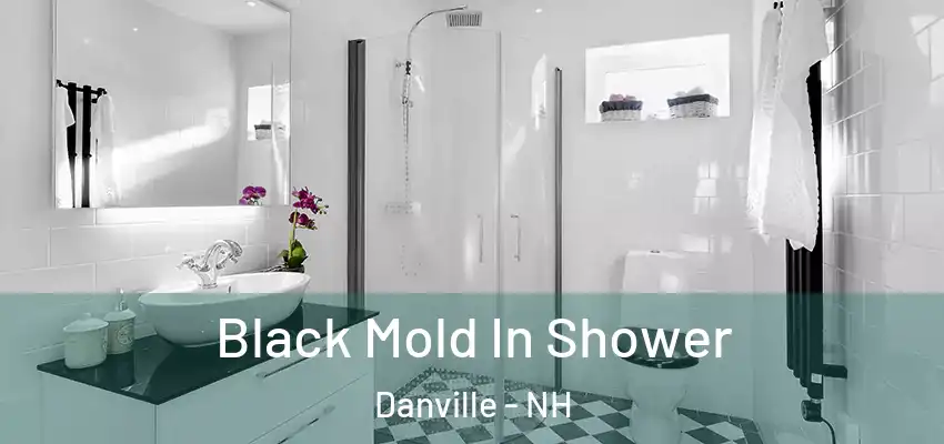  Black Mold In Shower Danville - NH