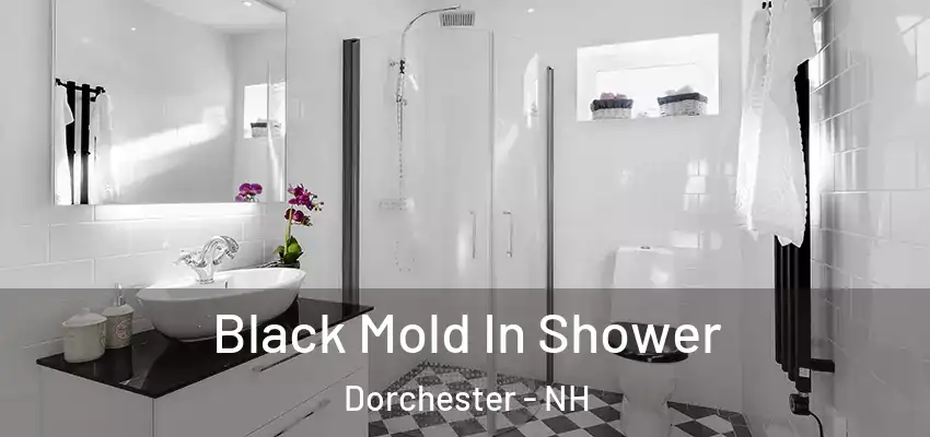 Black Mold In Shower Dorchester - NH