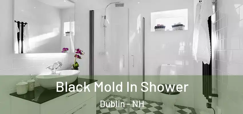 Black Mold In Shower Dublin - NH