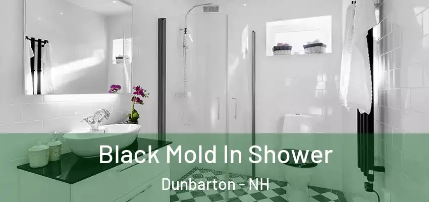  Black Mold In Shower Dunbarton - NH