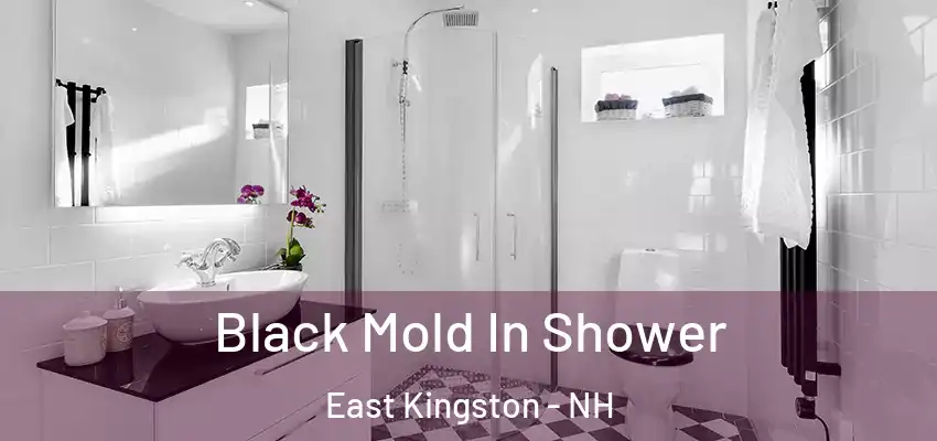  Black Mold In Shower East Kingston - NH