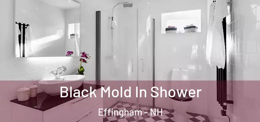  Black Mold In Shower Effingham - NH