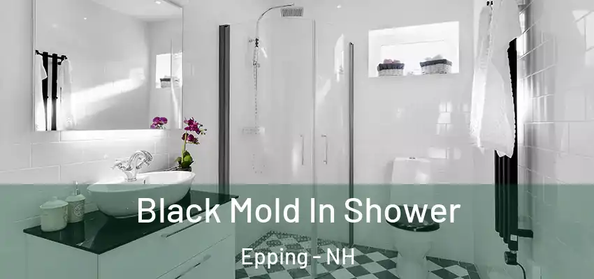  Black Mold In Shower Epping - NH