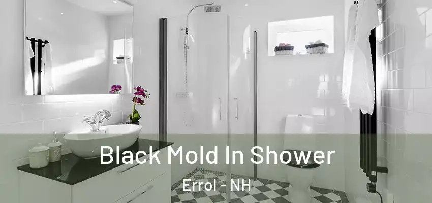  Black Mold In Shower Errol - NH