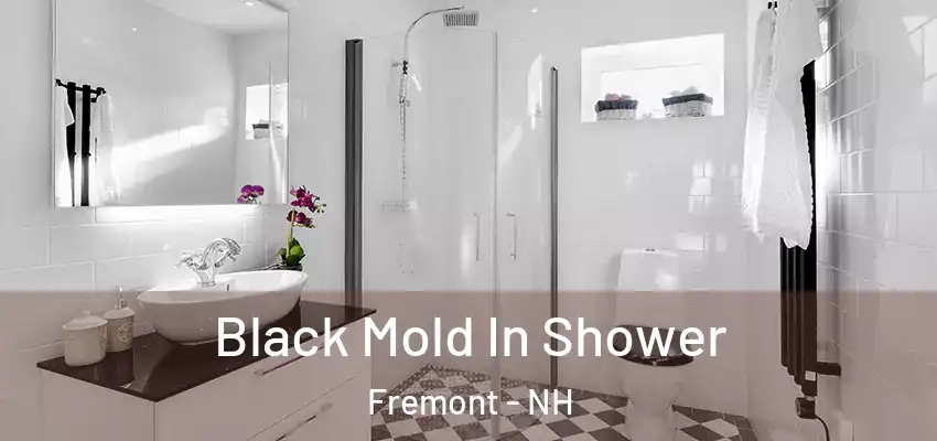  Black Mold In Shower Fremont - NH