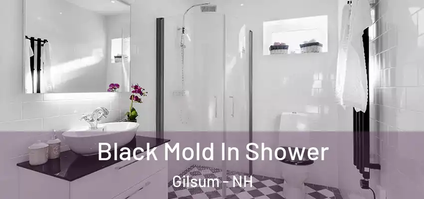  Black Mold In Shower Gilsum - NH