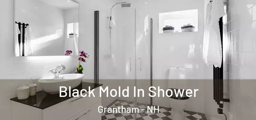 Black Mold In Shower Grantham - NH