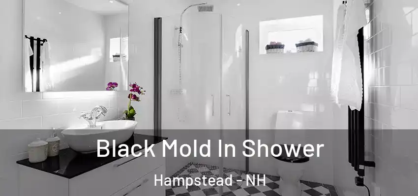  Black Mold In Shower Hampstead - NH