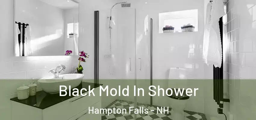  Black Mold In Shower Hampton Falls - NH