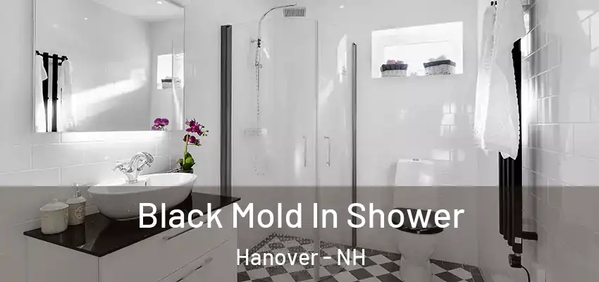 Black Mold In Shower Hanover - NH