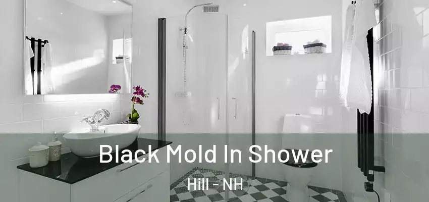  Black Mold In Shower Hill - NH