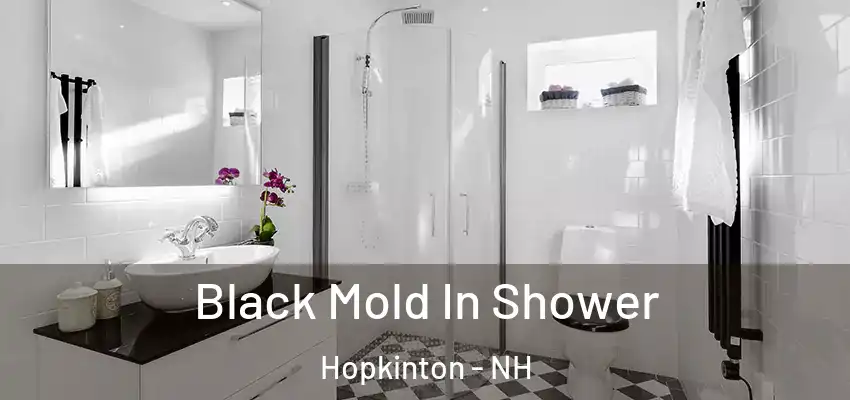 Black Mold In Shower Hopkinton - NH