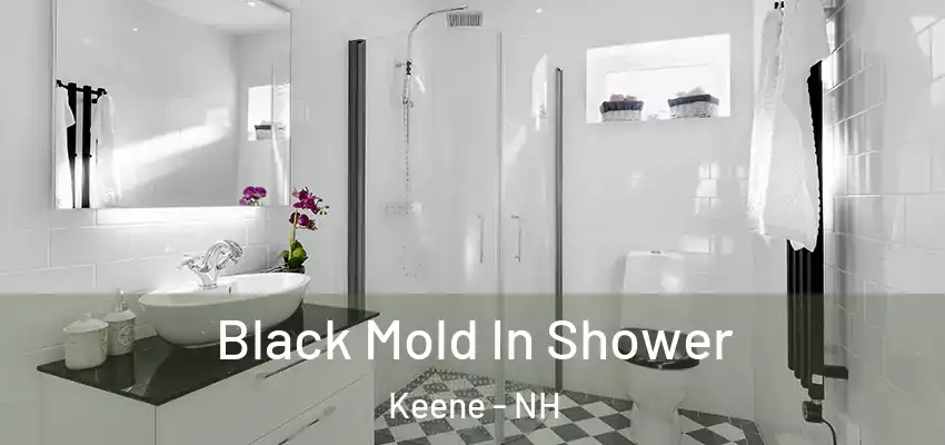  Black Mold In Shower Keene - NH