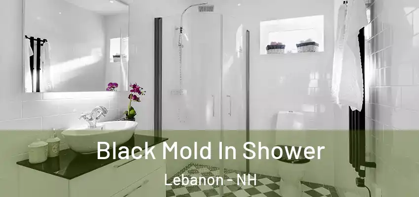 Black Mold In Shower Lebanon - NH