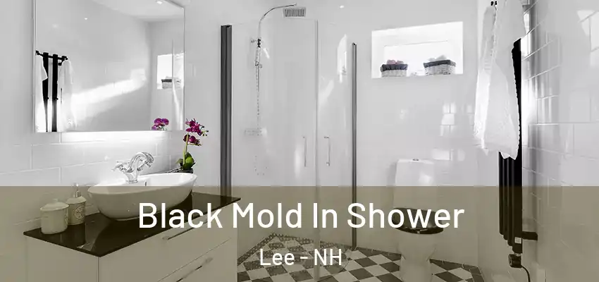  Black Mold In Shower Lee - NH