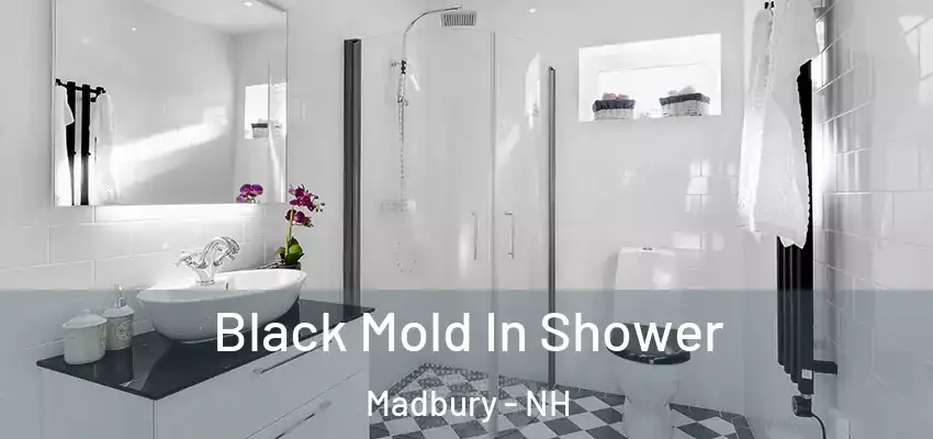  Black Mold In Shower Madbury - NH