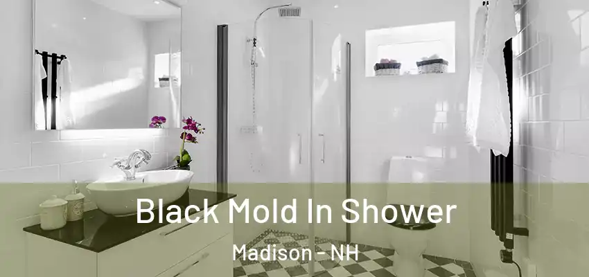 Black Mold In Shower Madison - NH