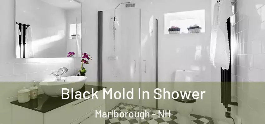  Black Mold In Shower Marlborough - NH