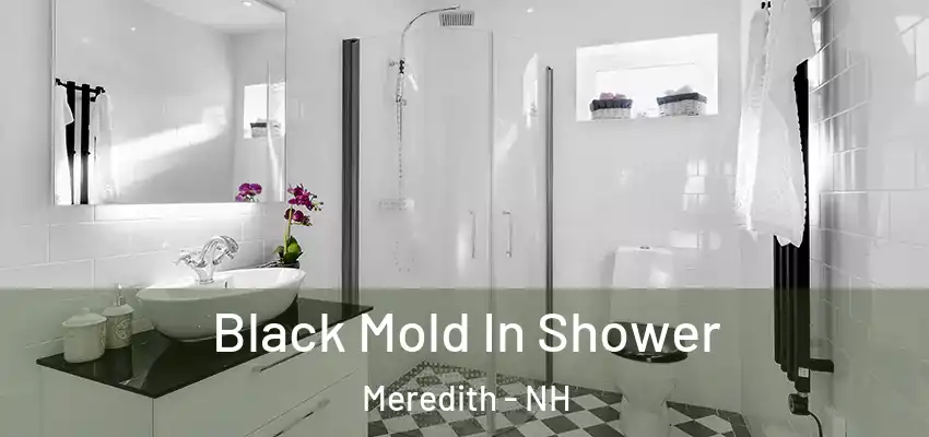 Black Mold In Shower Meredith - NH