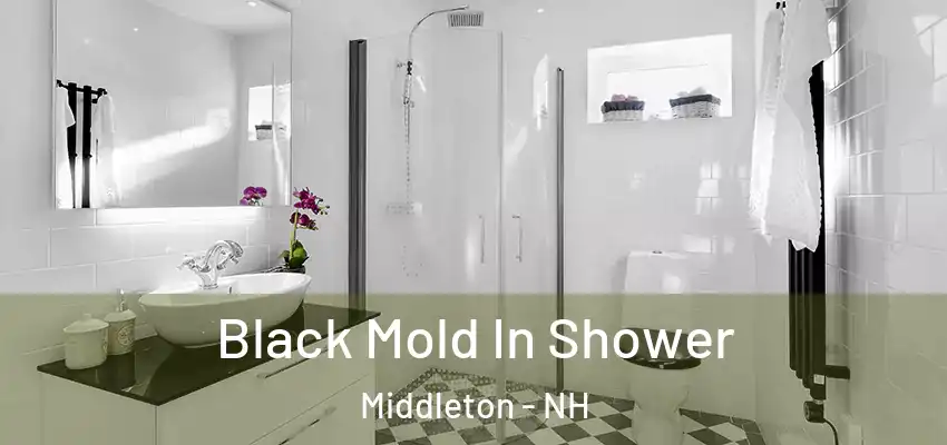  Black Mold In Shower Middleton - NH