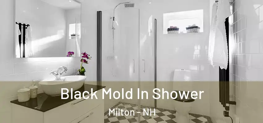  Black Mold In Shower Milton - NH