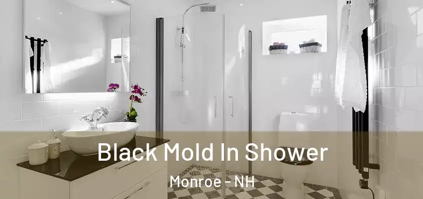 Black Mold In Shower Monroe - NH