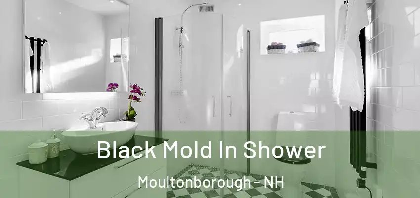 Black Mold In Shower Moultonborough - NH