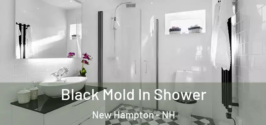 Black Mold In Shower New Hampton - NH