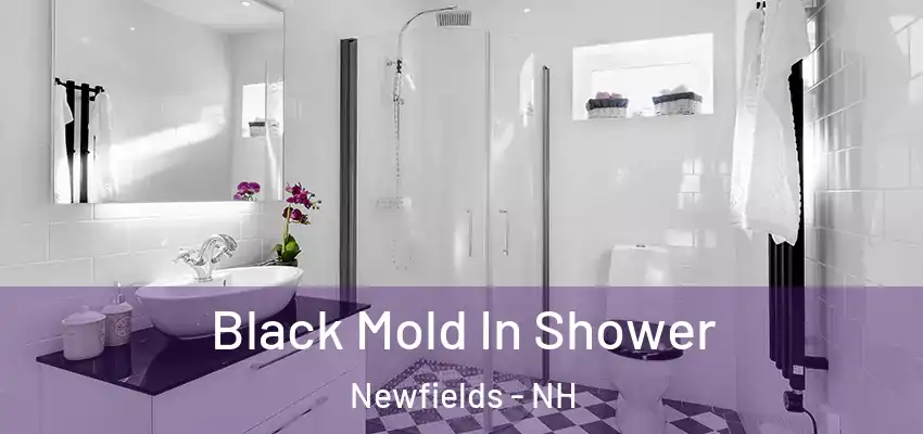  Black Mold In Shower Newfields - NH