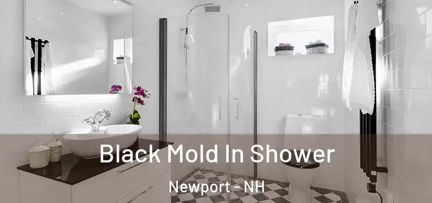  Black Mold In Shower Newport - NH