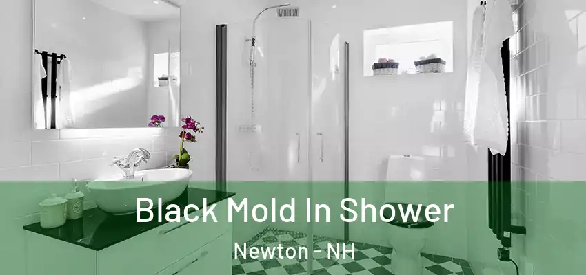  Black Mold In Shower Newton - NH