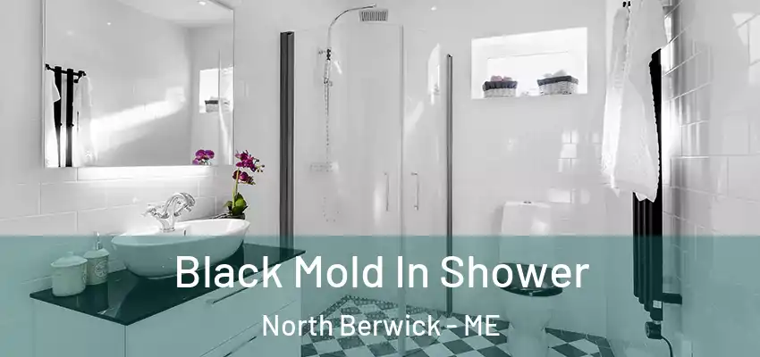  Black Mold In Shower North Berwick - ME
