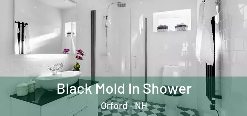 Black Mold In Shower Orford - NH