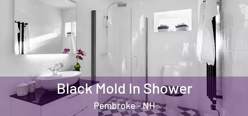  Black Mold In Shower Pembroke - NH