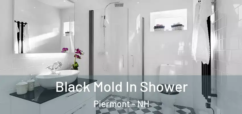 Black Mold In Shower Piermont - NH