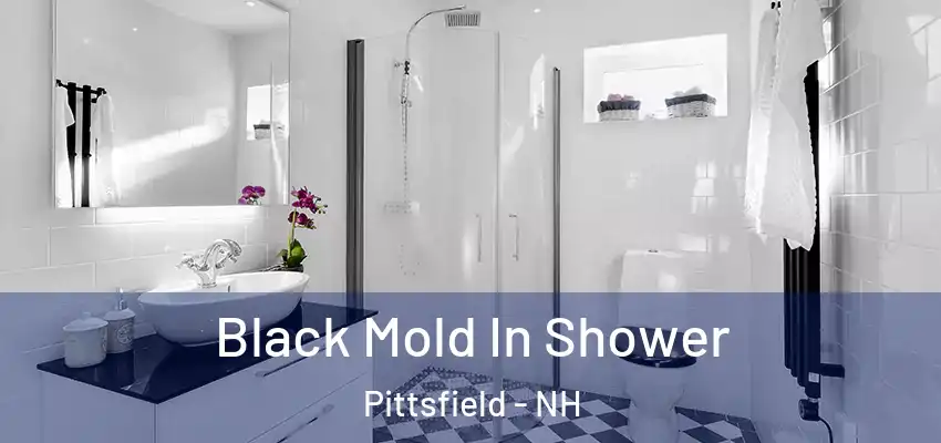  Black Mold In Shower Pittsfield - NH