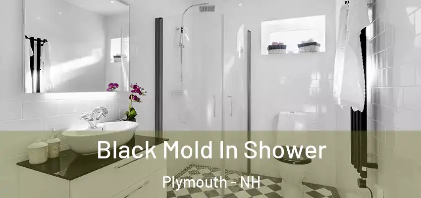 Black Mold In Shower Plymouth - NH