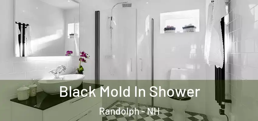 Black Mold In Shower Randolph - NH