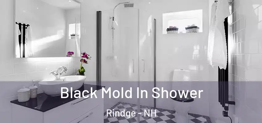  Black Mold In Shower Rindge - NH