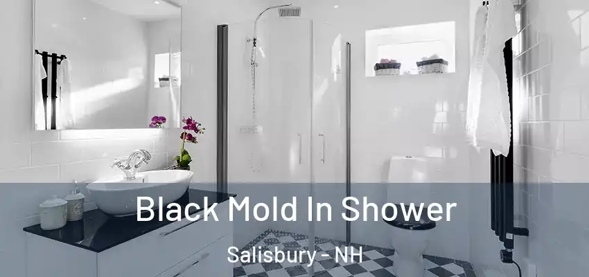  Black Mold In Shower Salisbury - NH