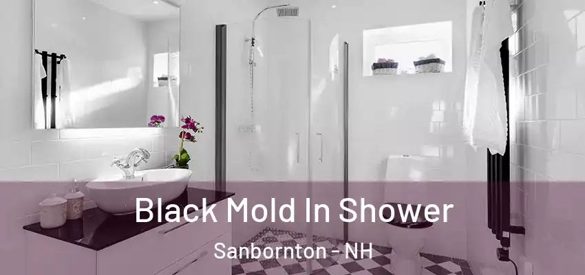  Black Mold In Shower Sanbornton - NH