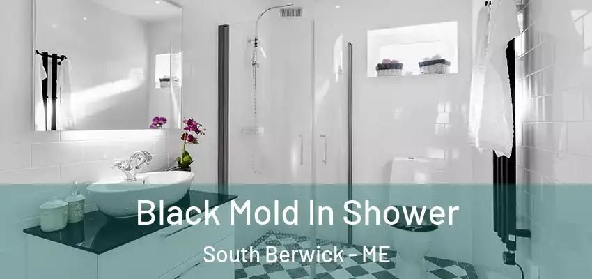  Black Mold In Shower South Berwick - ME