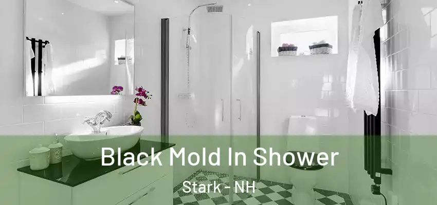 Black Mold In Shower Stark - NH