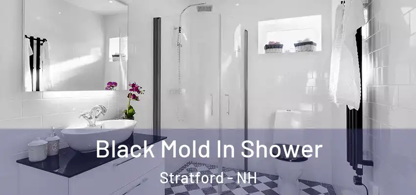  Black Mold In Shower Stratford - NH