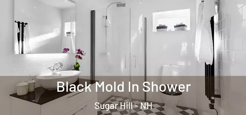 Black Mold In Shower Sugar Hill - NH