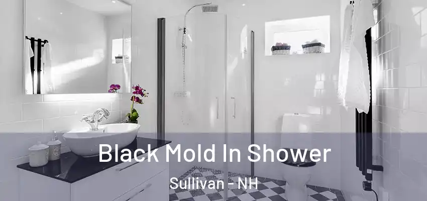  Black Mold In Shower Sullivan - NH