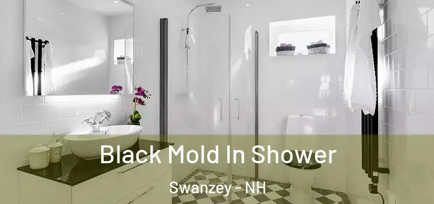 Black Mold In Shower Swanzey - NH