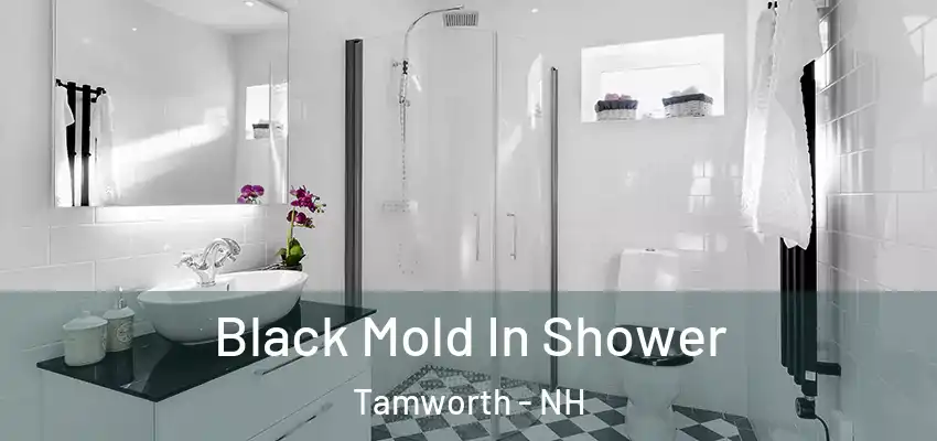 Black Mold In Shower Tamworth - NH