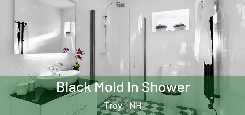  Black Mold In Shower Troy - NH